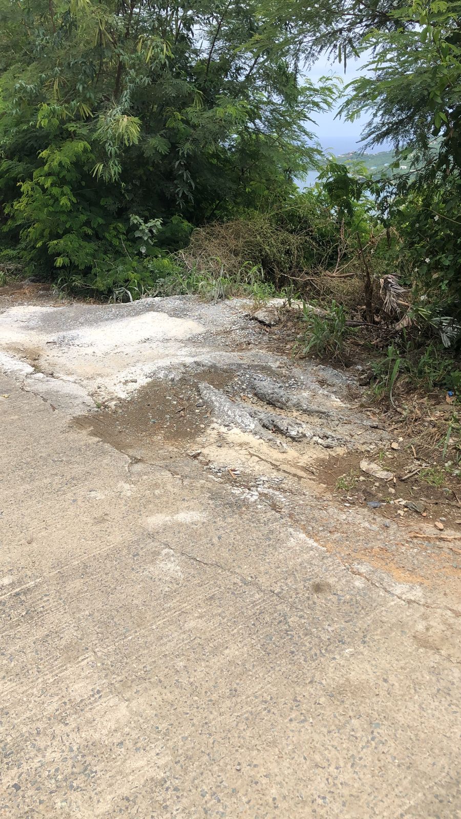  image here  publ3image1 image1.jpeg