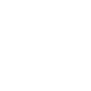    image of  Main LOGO  white transparent  image: main-logo-white-transparent.png